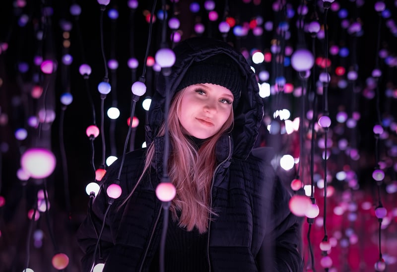 Twinkling Fairy Lights