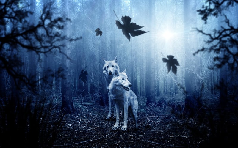 Moonlit forest