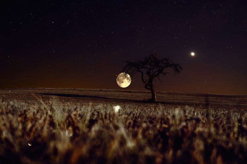Moonlit lake
